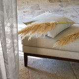 Camargue